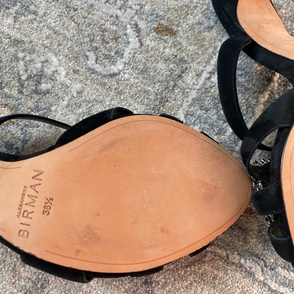 NWT Alexandre Birman Alicia
Suede Embellished Mules - Picture 13 of 15